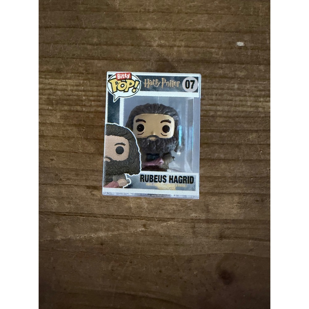 Funko Bitty Pop Harry Potter Rubeus Hagrid 07 Mini Vinyl Figure with Case 2024